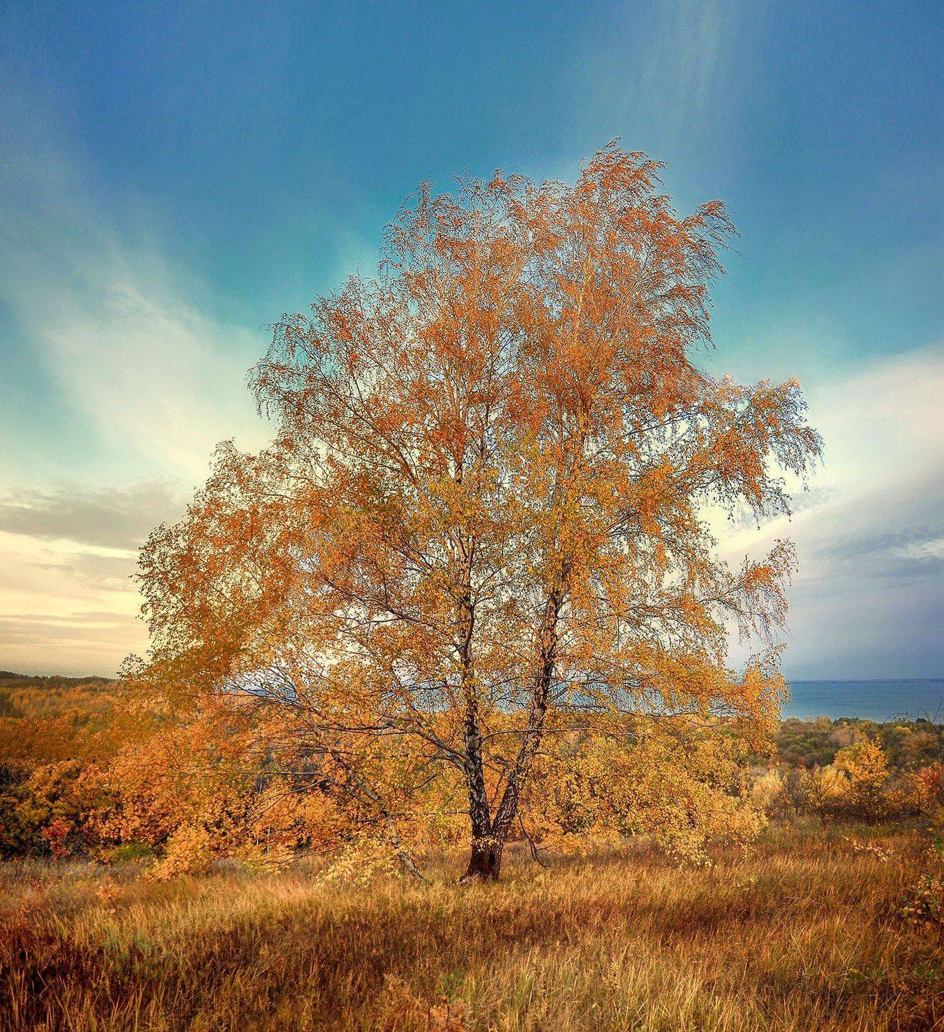 , Kantsyrenko Sergey