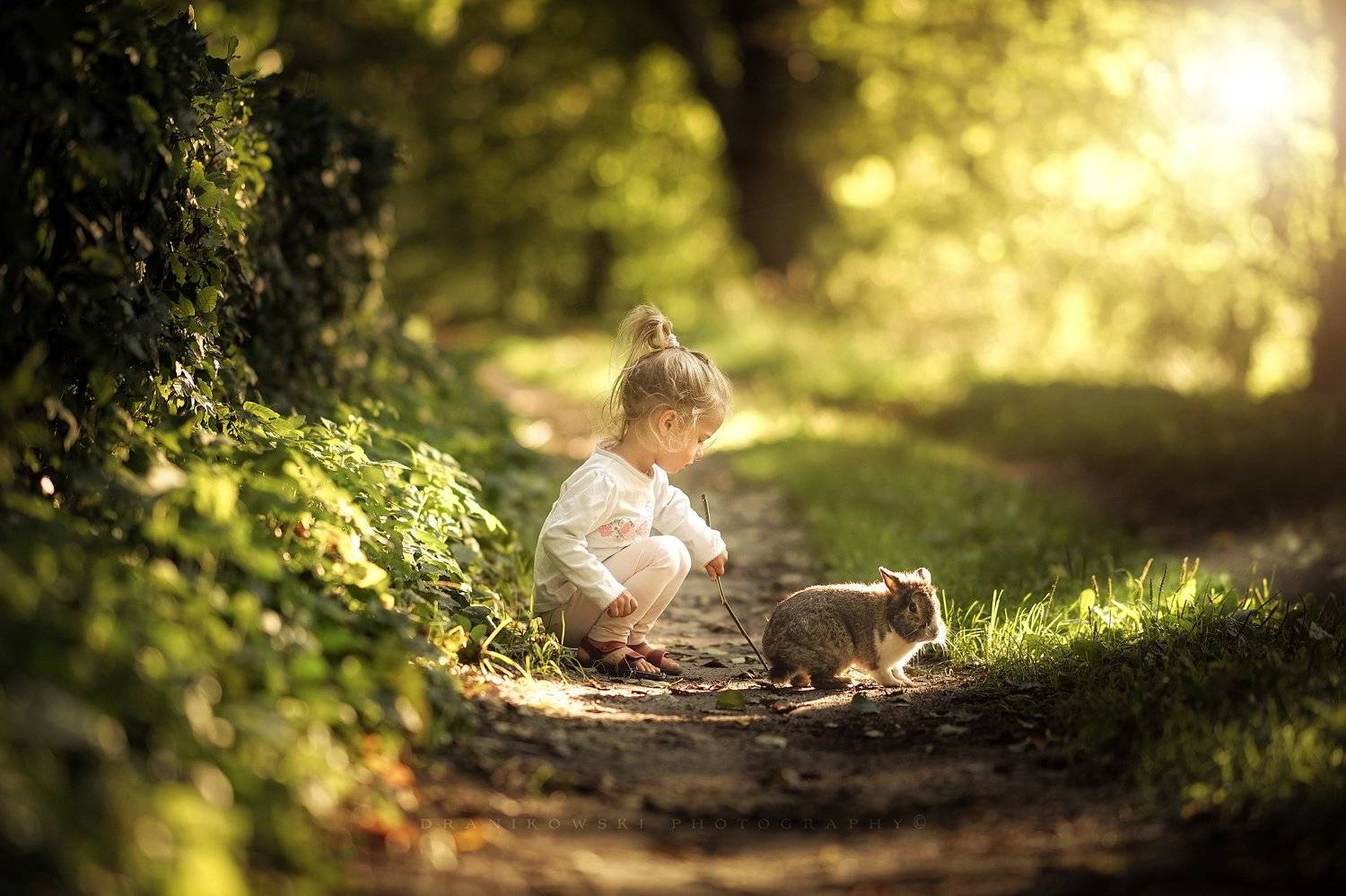 лучшим, другом, best, friend, rabbit, bokeh, path, road, trees, sun, cute, girl, green, Radoslaw Dranikowski