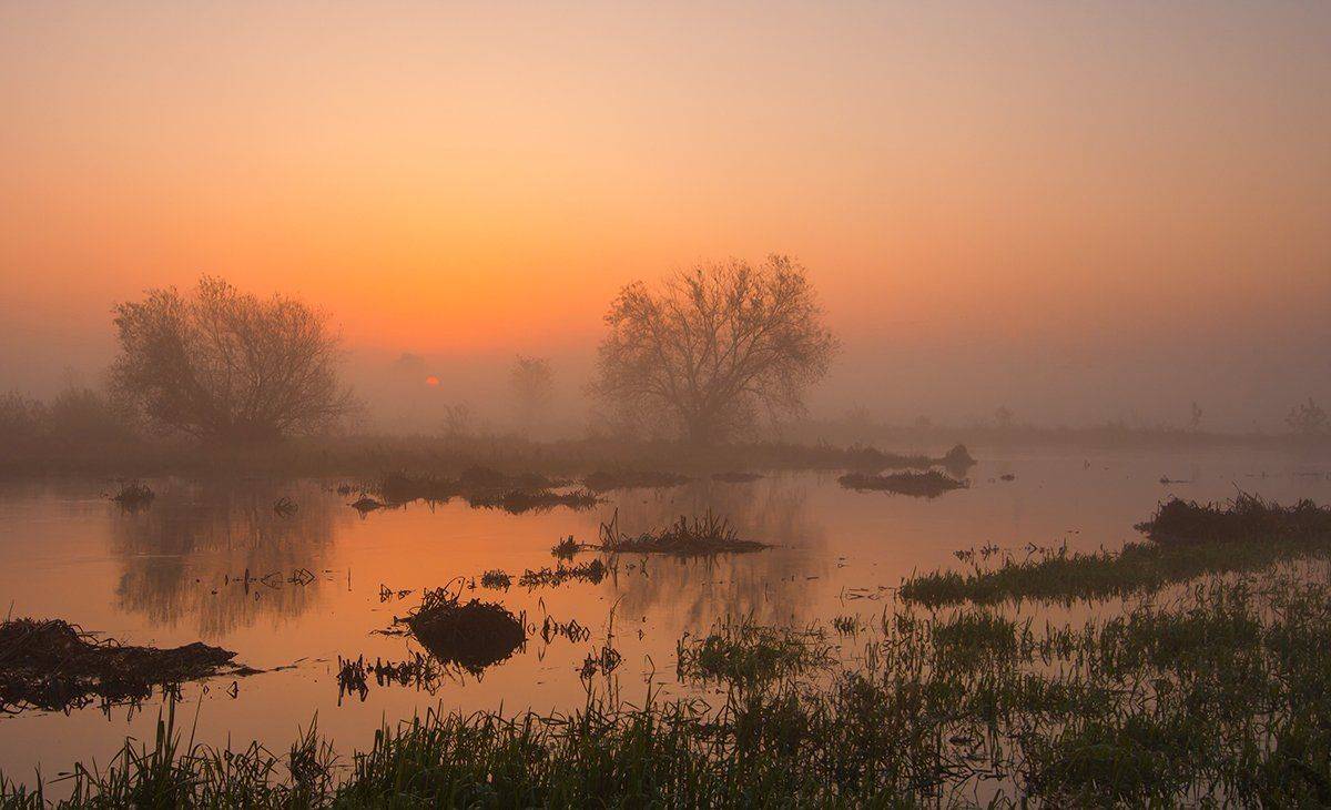 , Pawel Plucinski