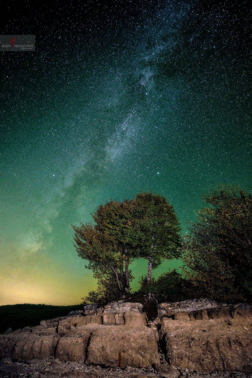 Грузия, Млечныйпуть, Астрофотография, Дерево, Звезды, Осень, Ираклий Шавгулидзе
