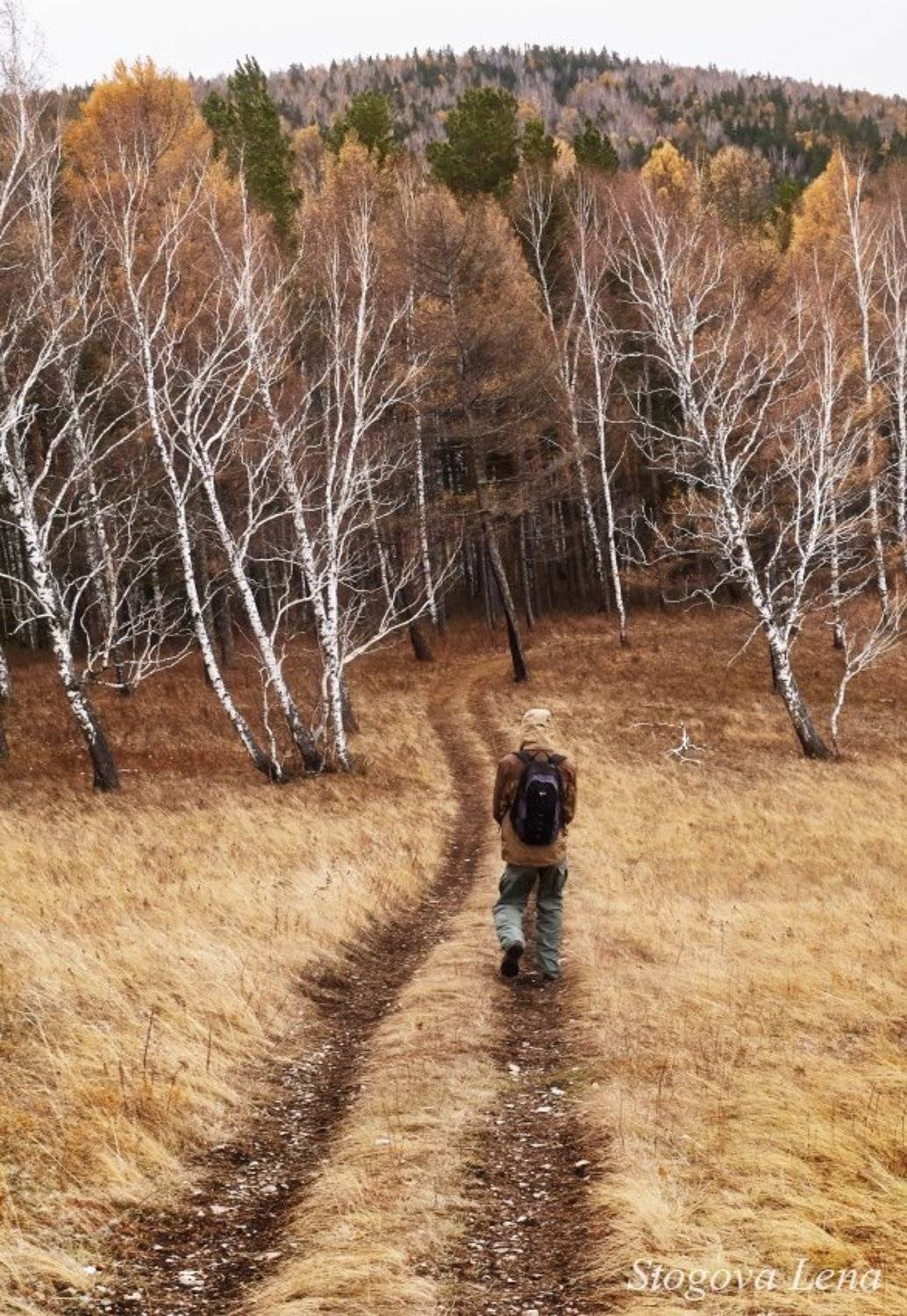 лес, красноярск, поход, Лена Стогова