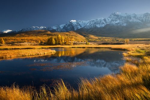 Купаясь в свете