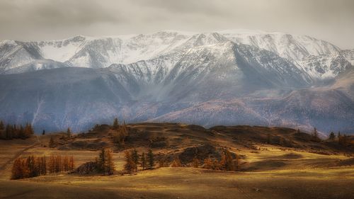 Алтайский пейзаж