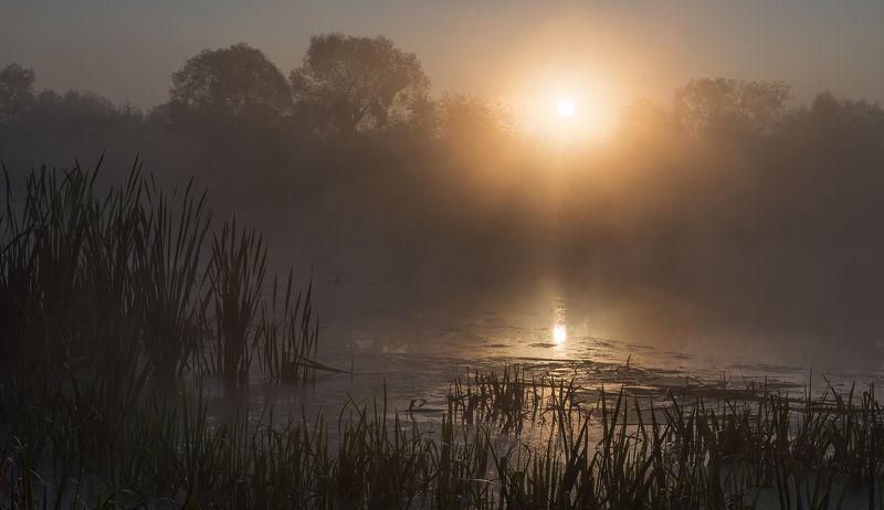 два места в осень.. фото превью