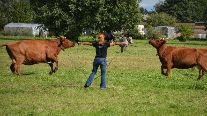 Есть билет на балет фото превью