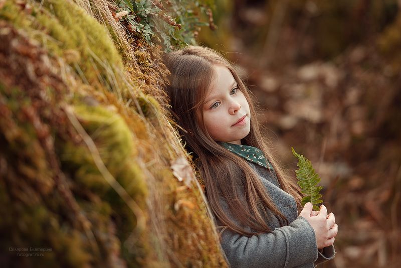 Папоротник фото превью