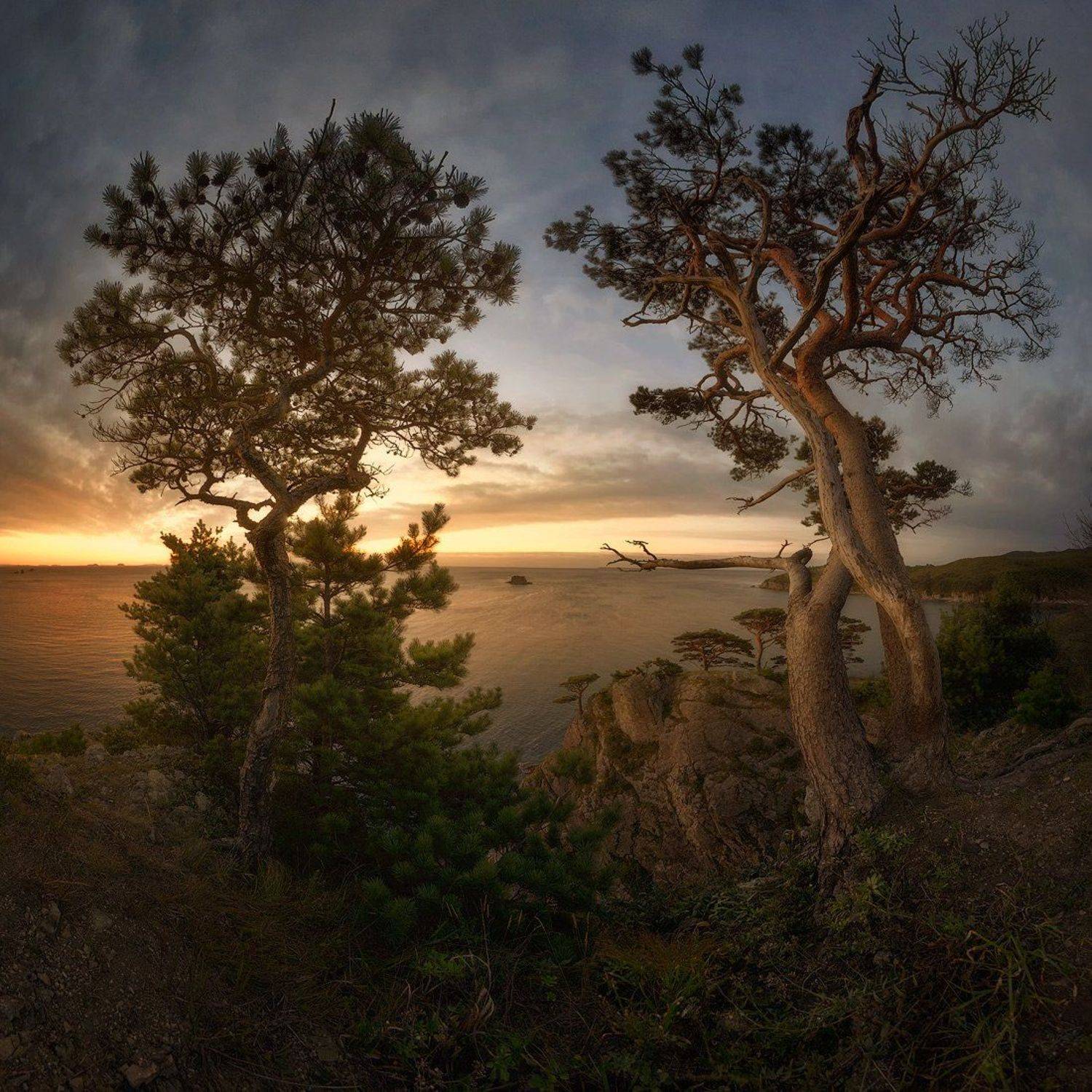 приморский край, заповедник, рассвет, море, солнце, Сорокин Алексей