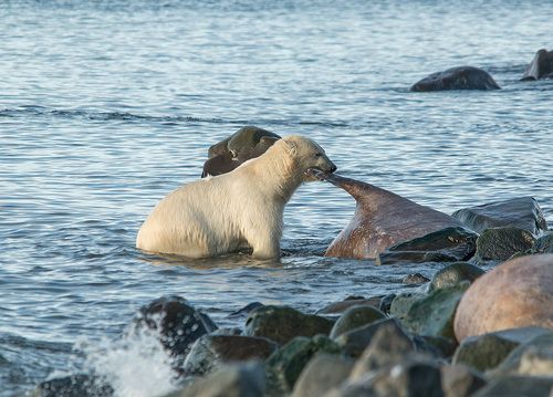 Ну пошли поиграем....