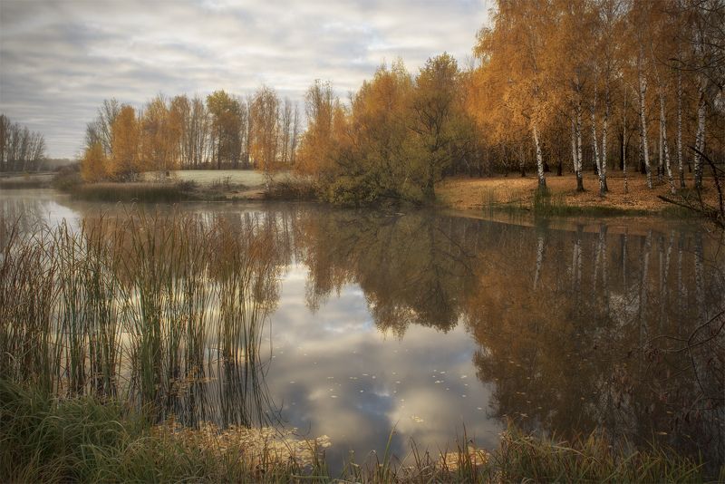 Утро октября. фото превью