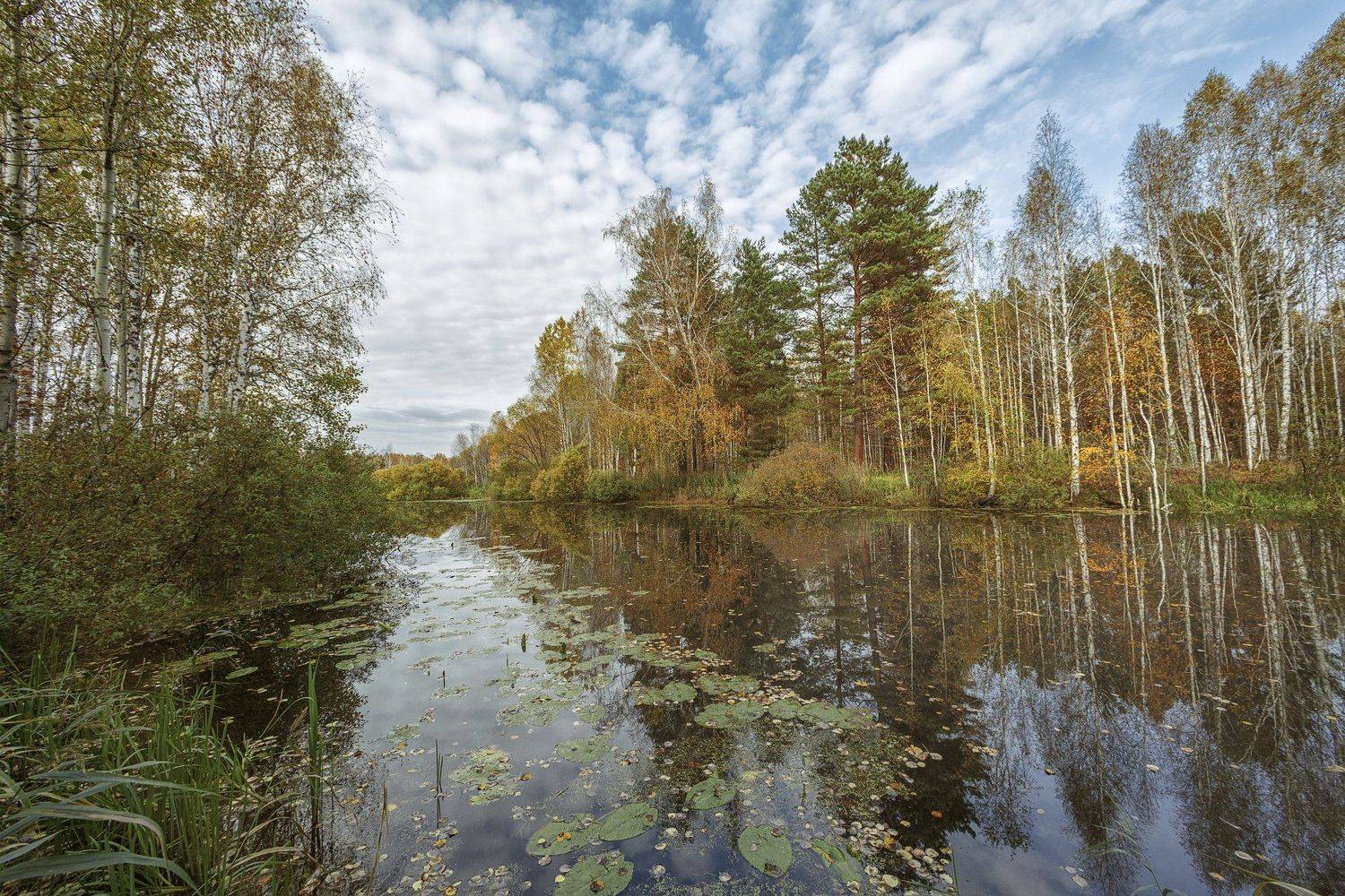 , Шевченко Николай