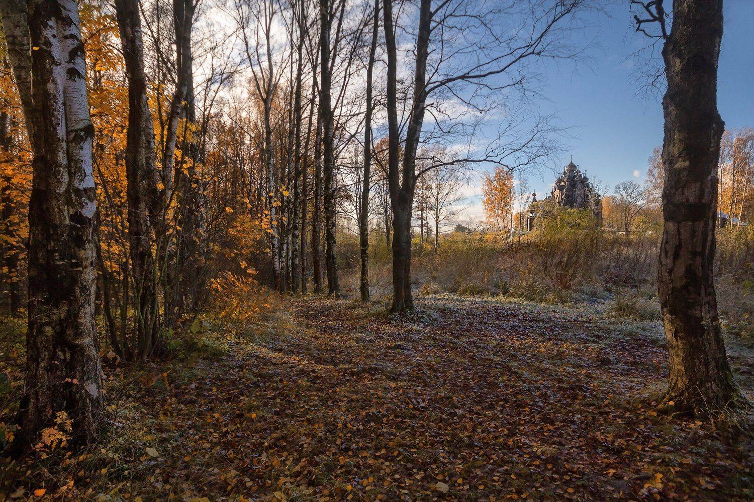 , Аркадий Белов