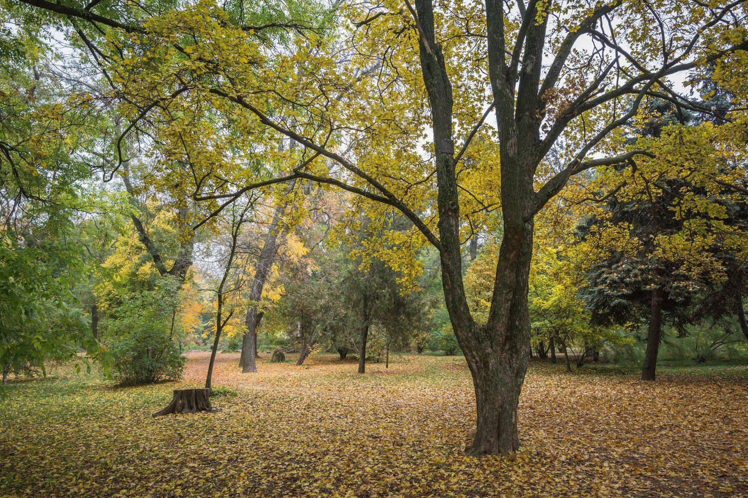 , Юрий Пужалин