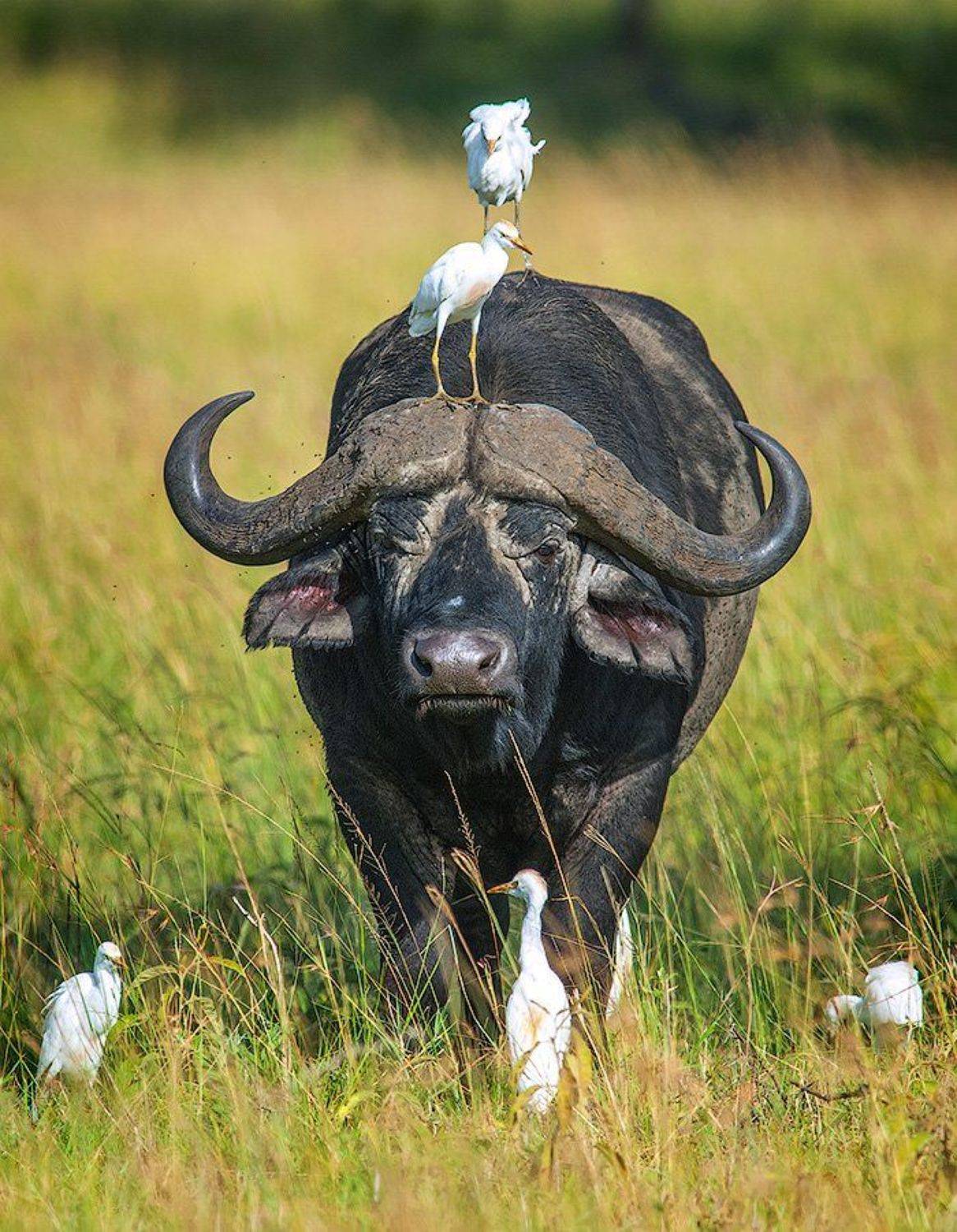 , Сергей Иванов