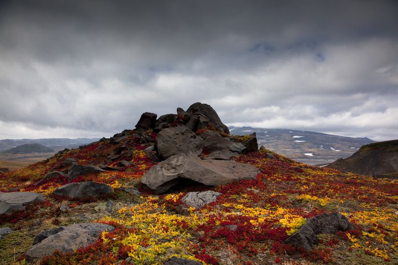 Осенняя пора фото превью