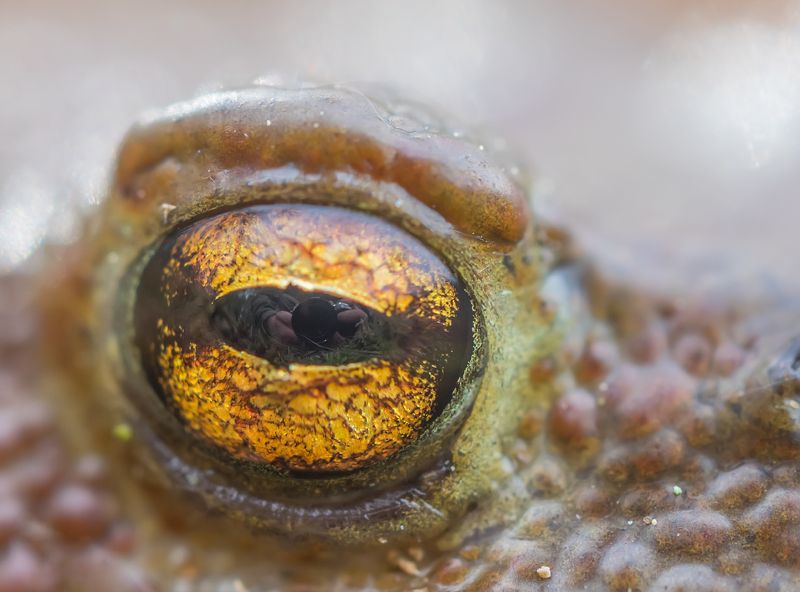 Сэлфи... фото превью