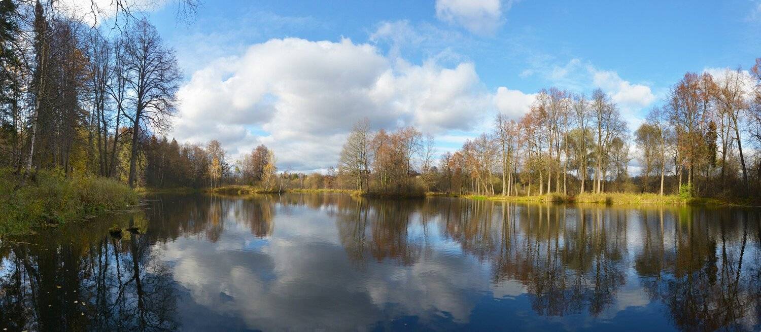 , Сергей Седов
