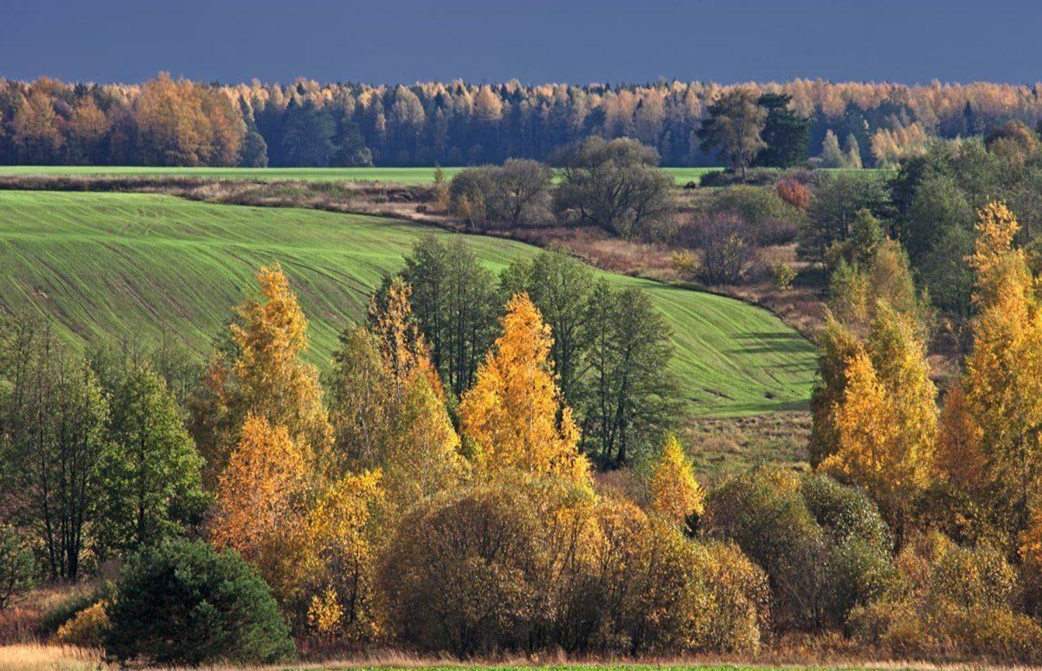 , Валерий Кондратов