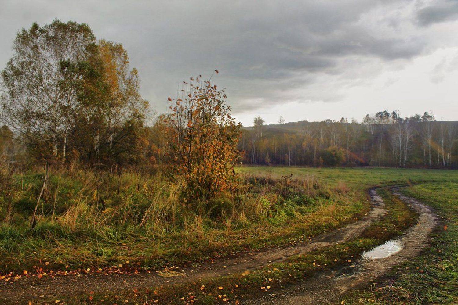 осень, ненастье, Курочкина Диана