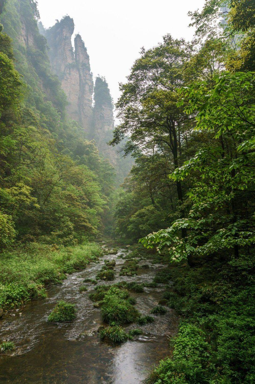 , Сергей Низовцев