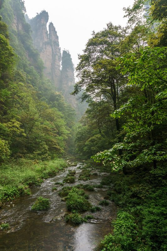 Ручей  фото превью