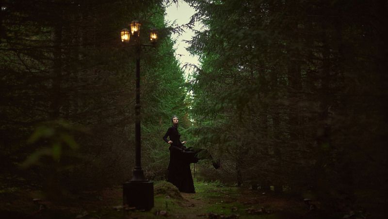 Фонарь в лесу фото превью