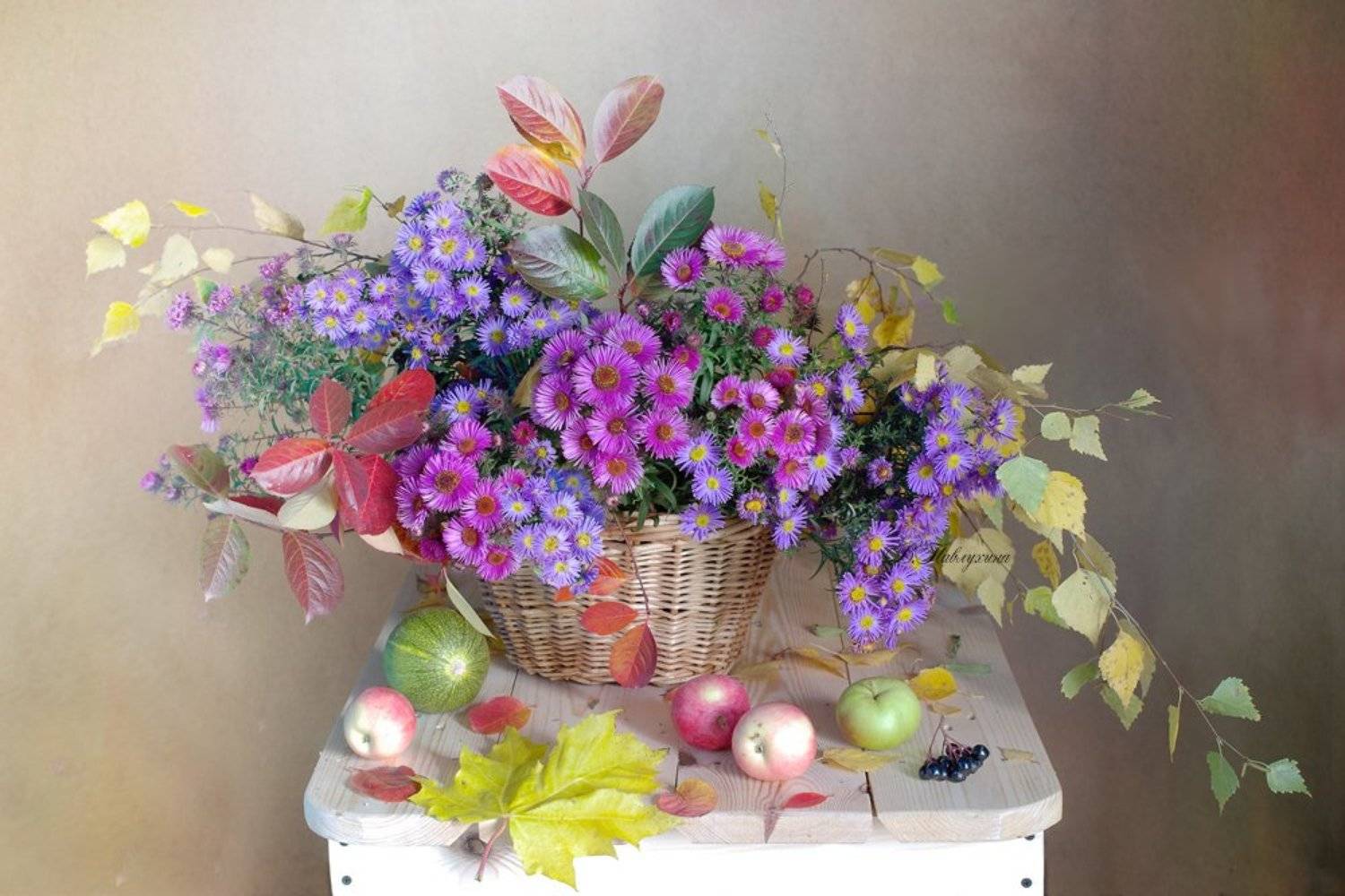 сентябринки , осень ,цветы, вера павлухина ,, Вера Павлухина