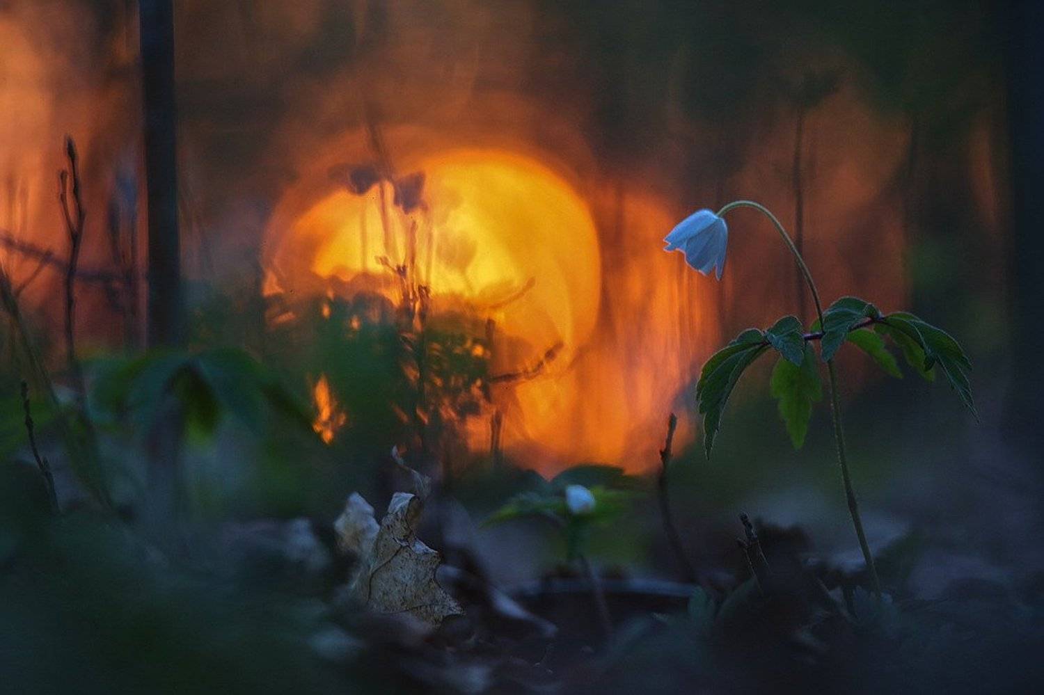 , Вячеслав Мищенко