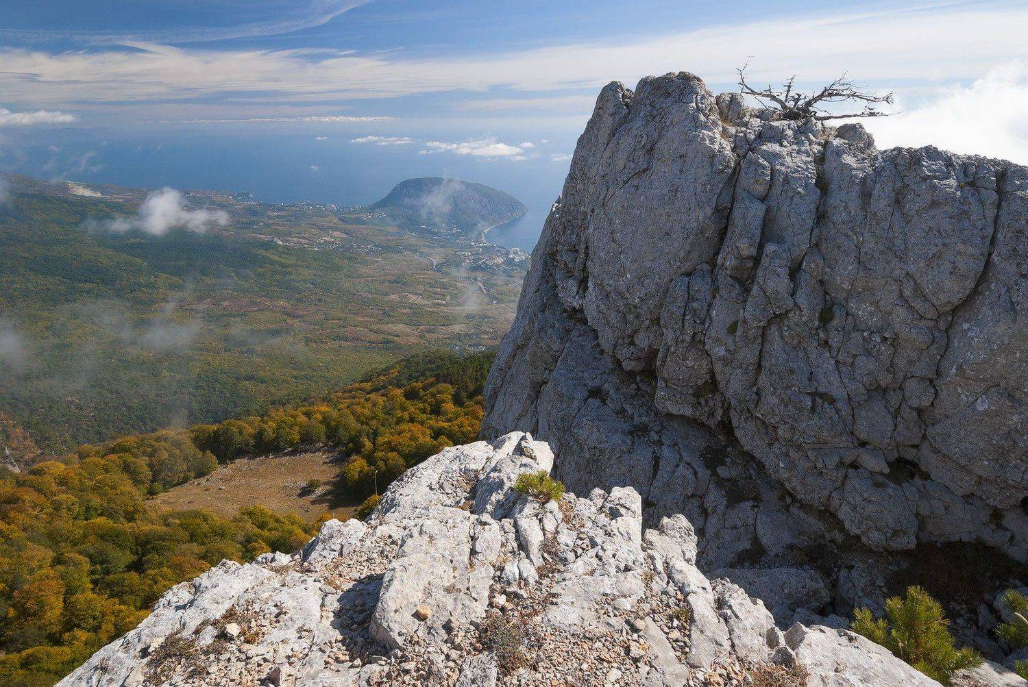 , Саша  Вайсберг / Waldschnepfe /