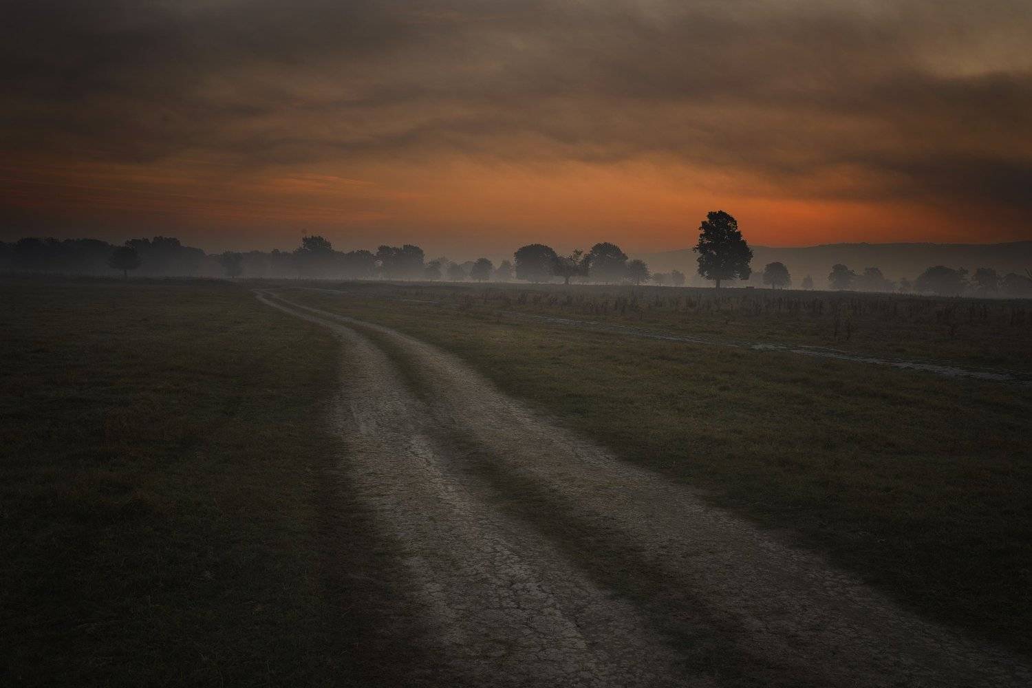 дорога, туман, утро, красное, восход, , Даниел Балъков