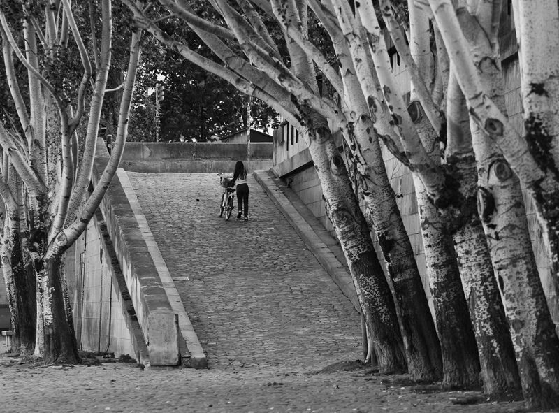 //// фото превью