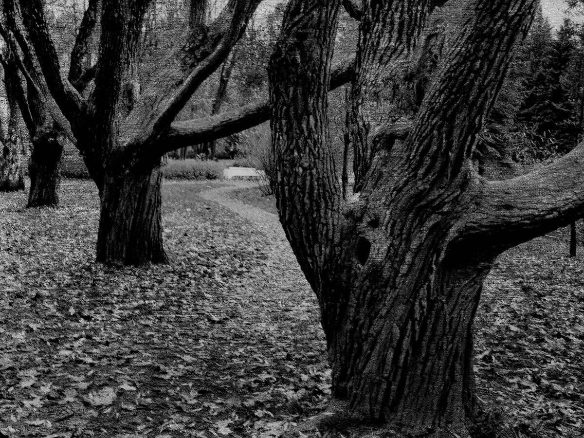 , Штабнов Юрий