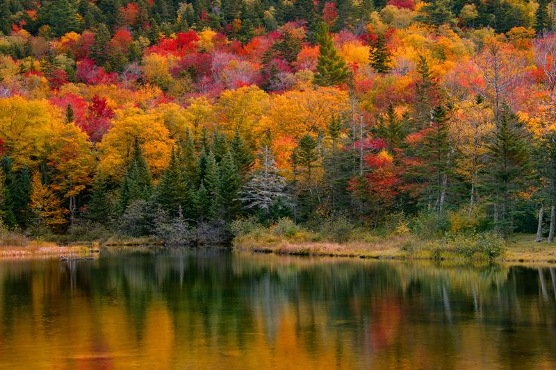 New England Pond фото превью