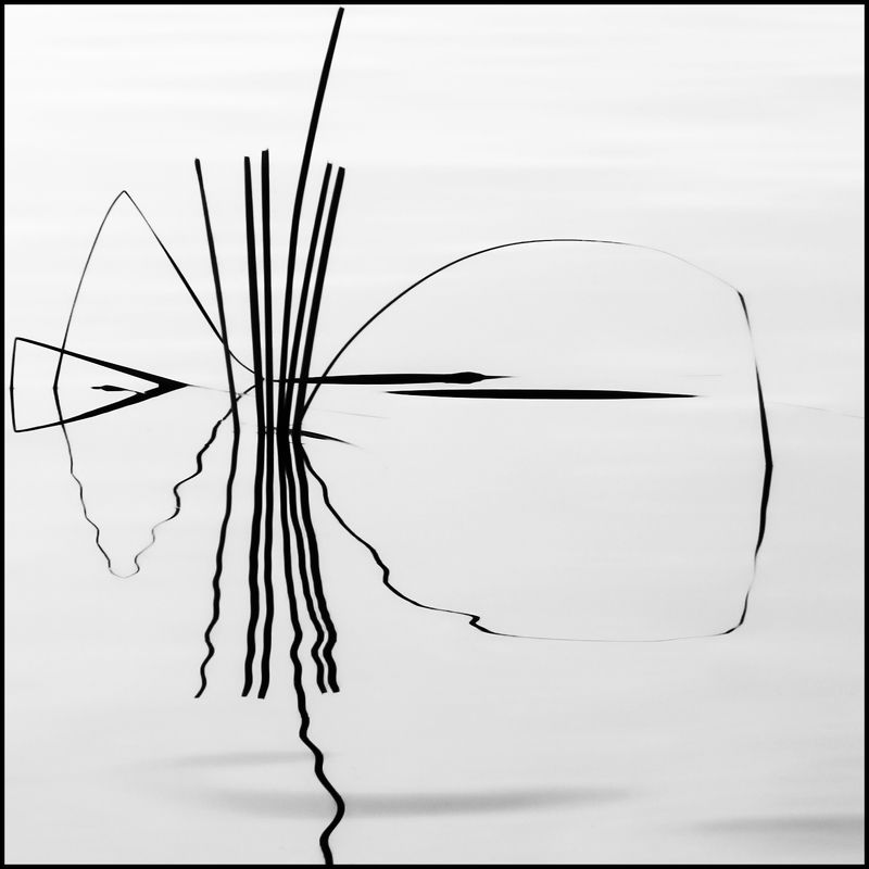 линии мои квадраты фото превью