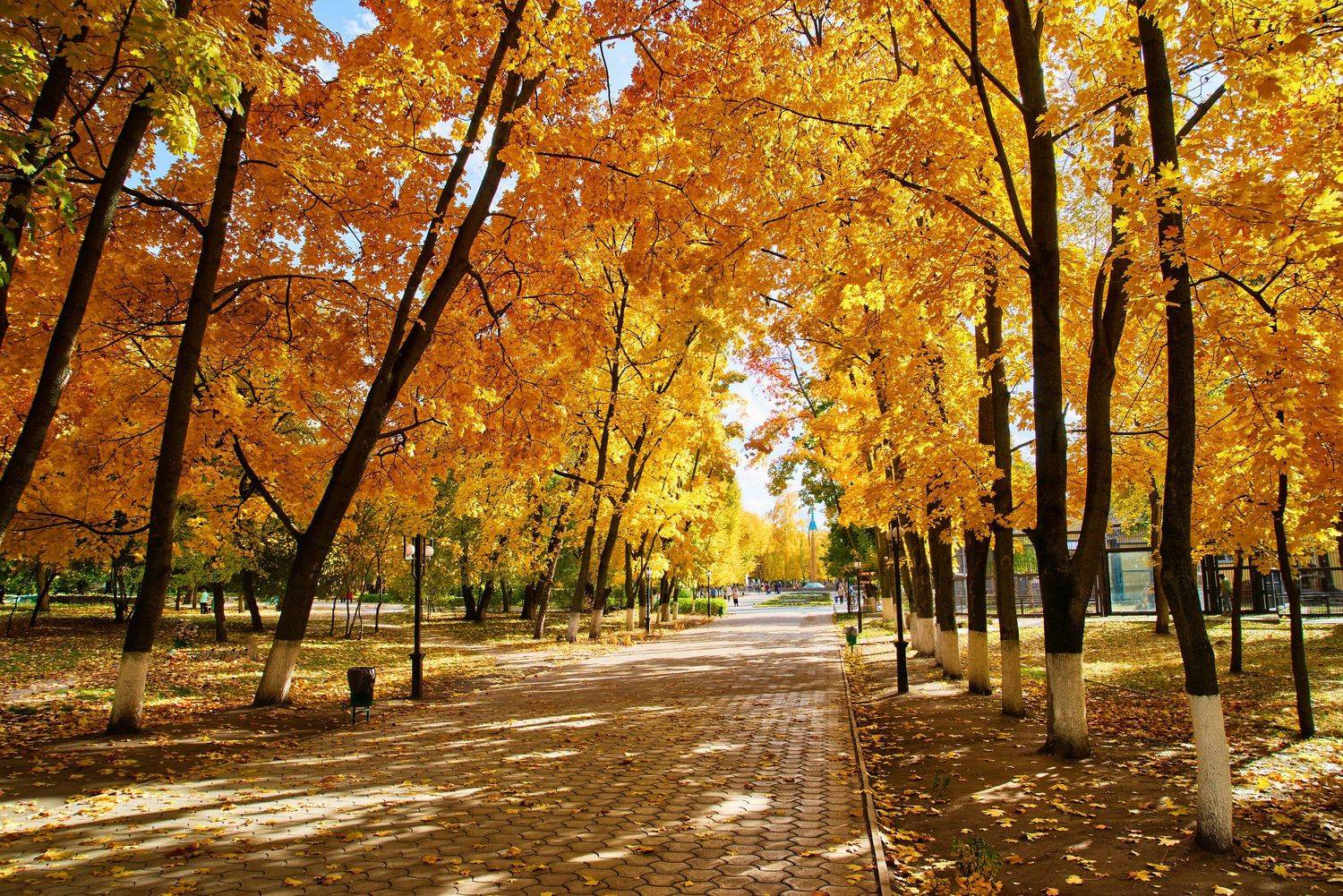 Воронеж,осень, Сячин Саша