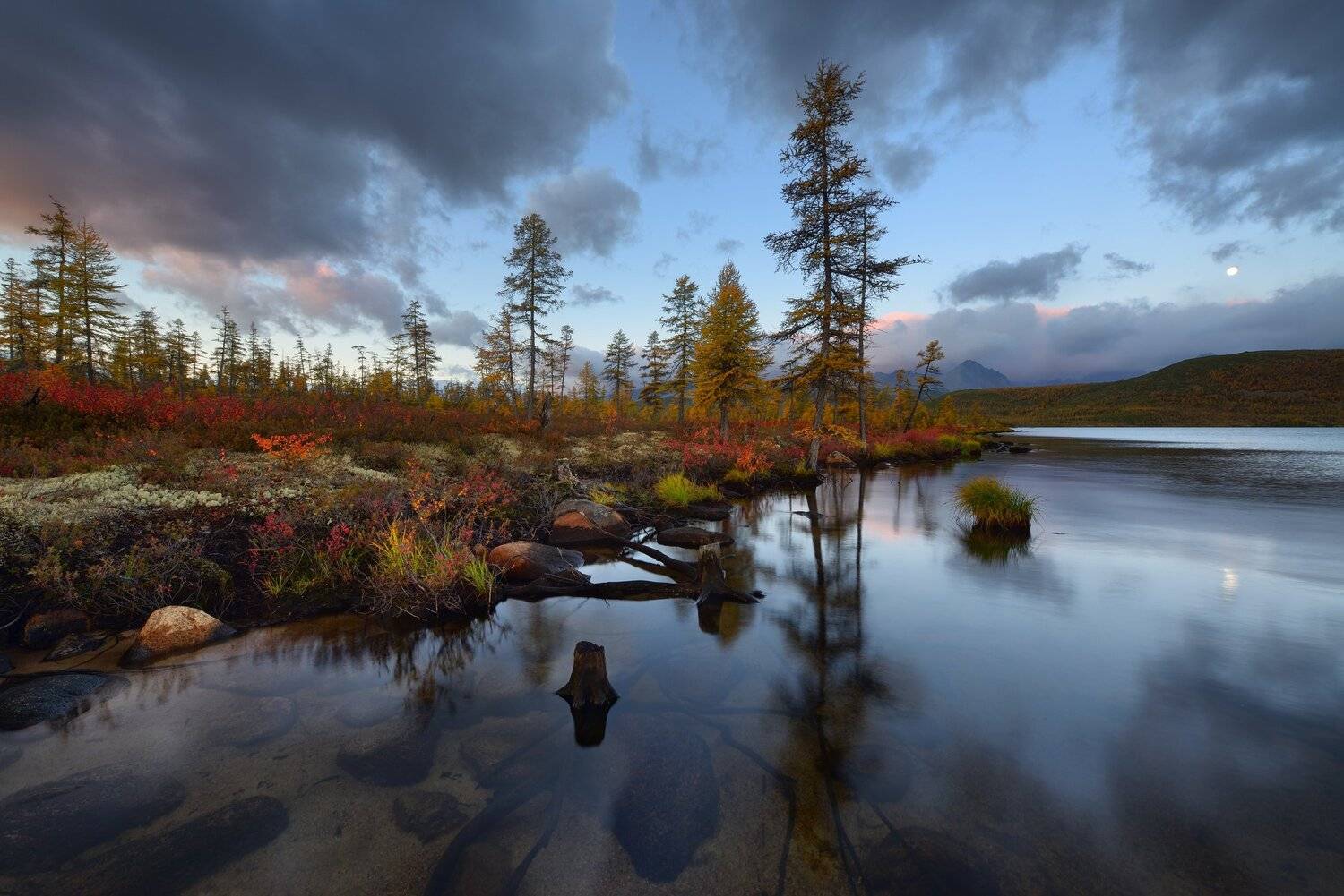 , Максим Евдокимов (www.wildphotorus.ru)