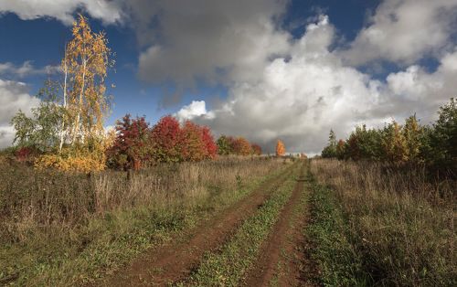 Солнечные краски осени