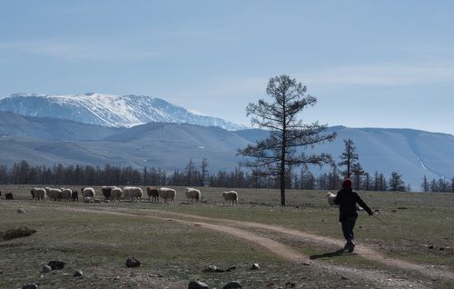 весна на Алтае
