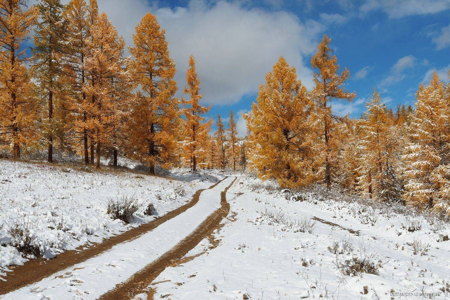 алтай, осень, небо, снег, Dmitriy  Baginskiy