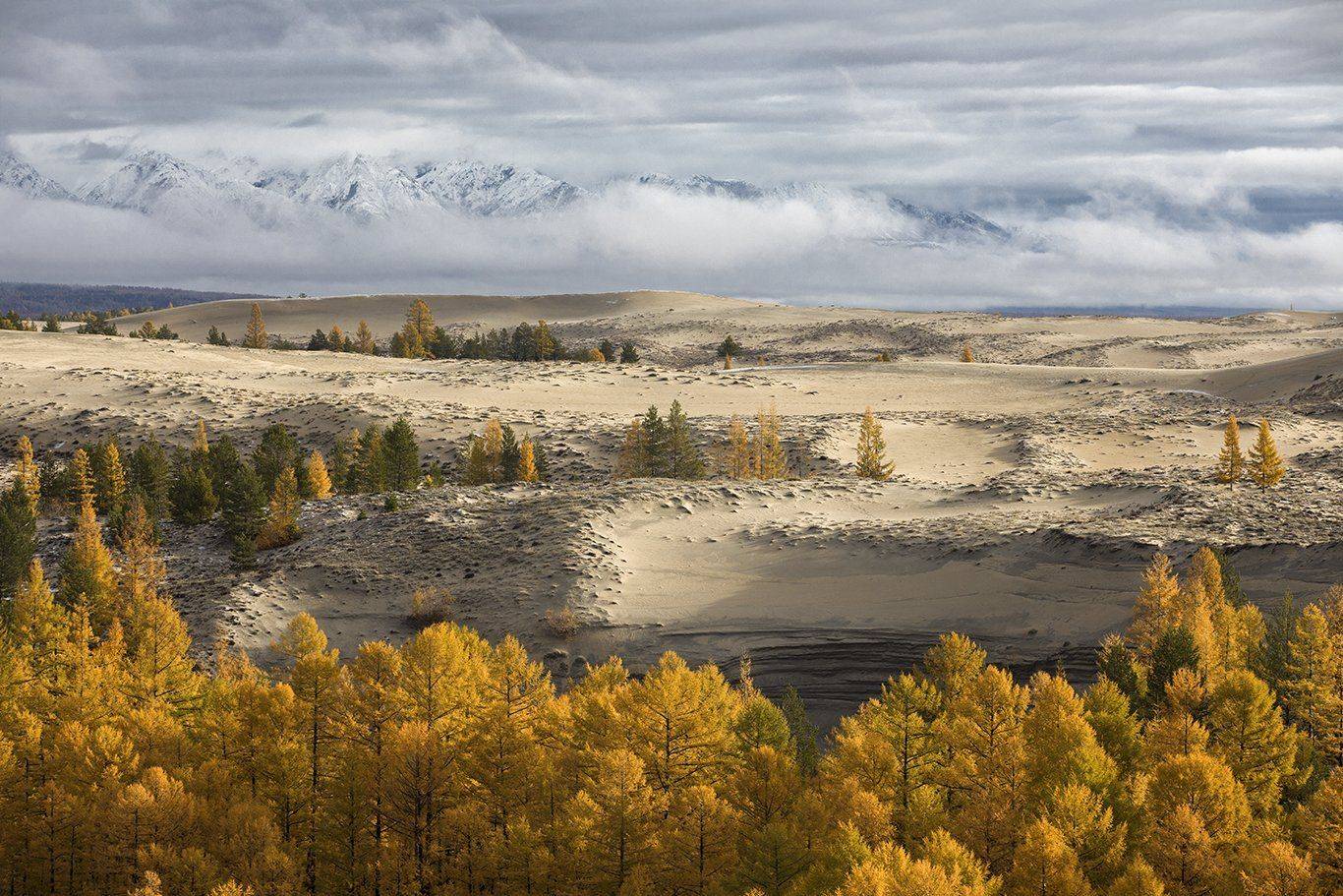 , Андрей Ершов