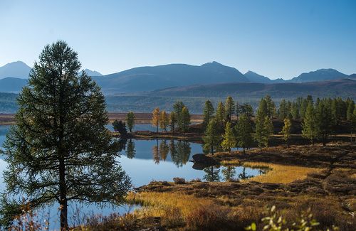 Осеннее утро