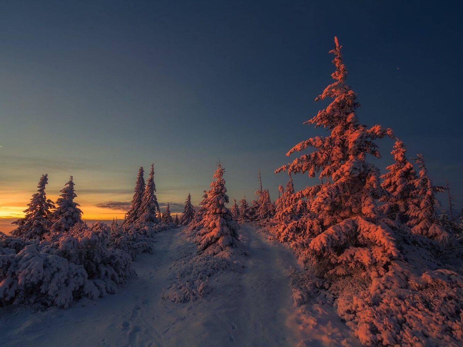 landscape,canon,winter,awakening, Iza,Darek