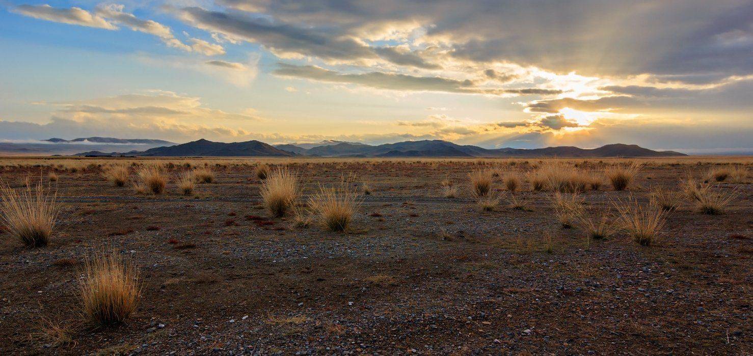 , Дмитрий Д.