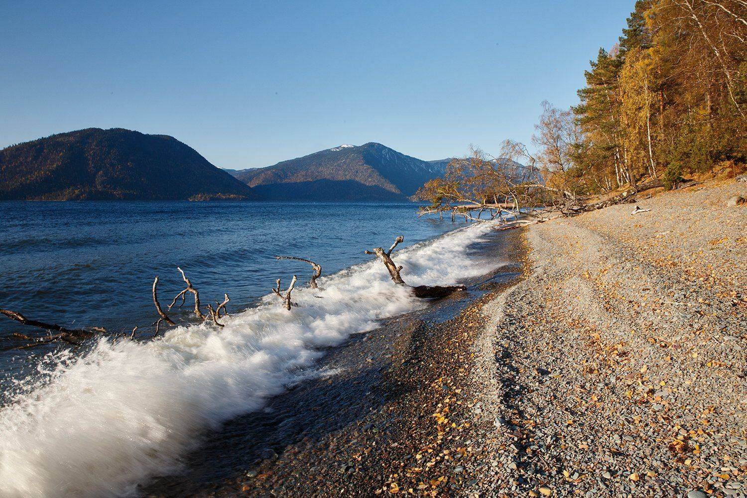 , Юрий Фролов