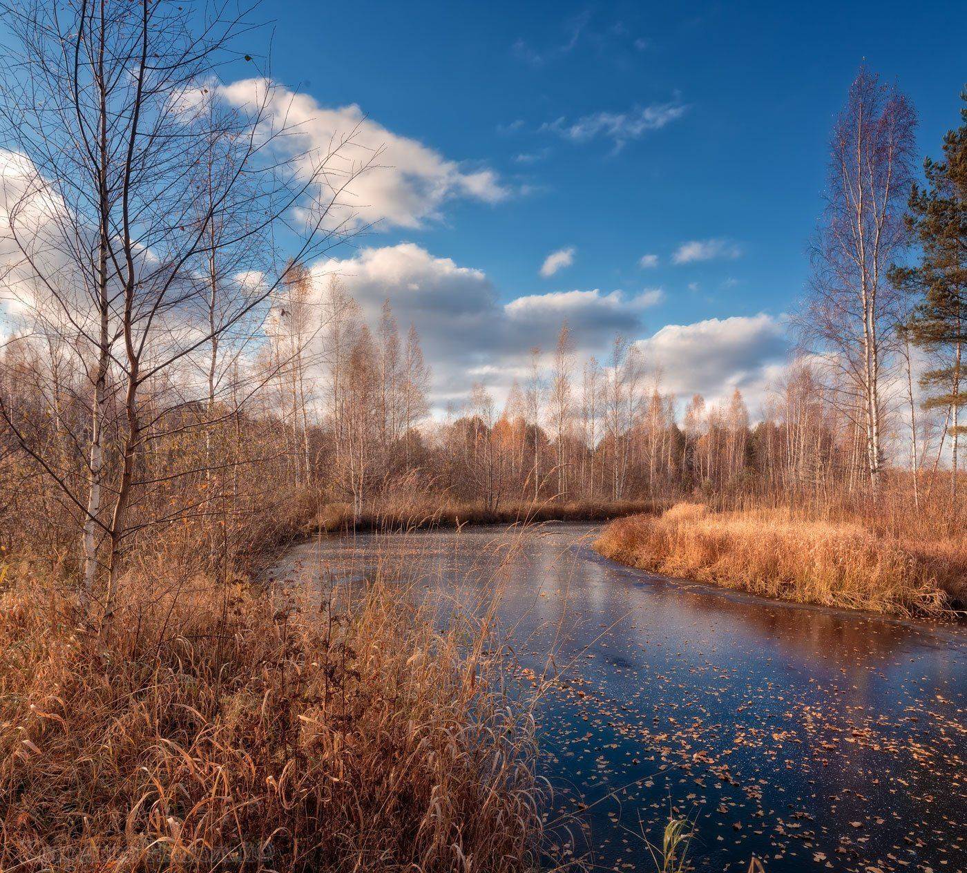 , Хохряков Николай