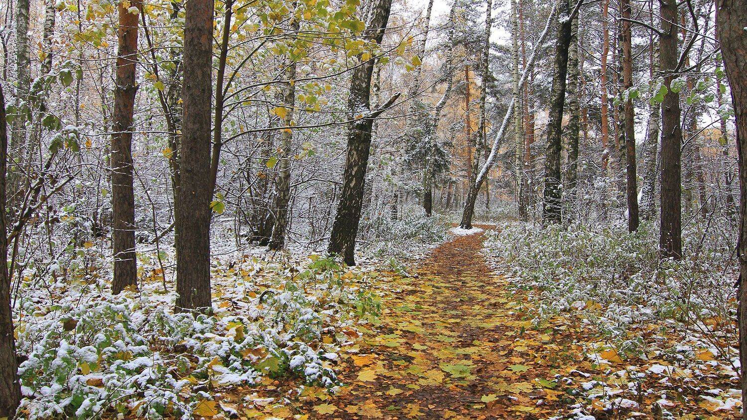 , Михаил Крюков