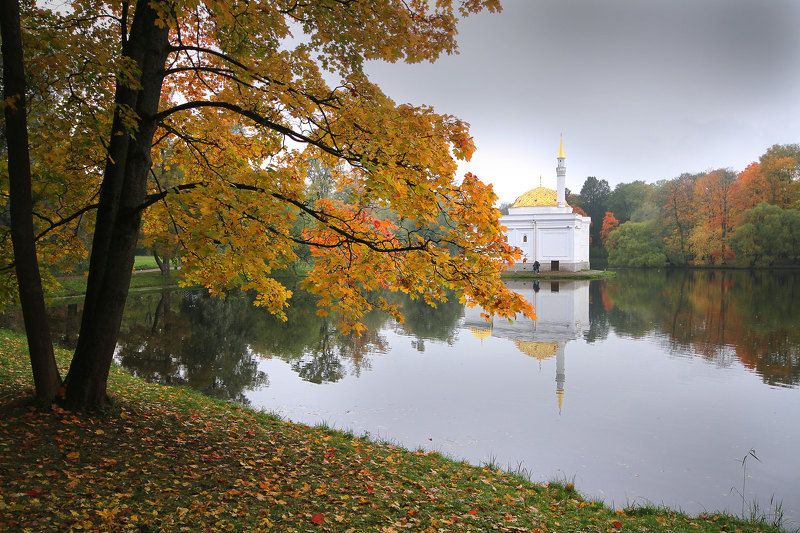 *** фото превью