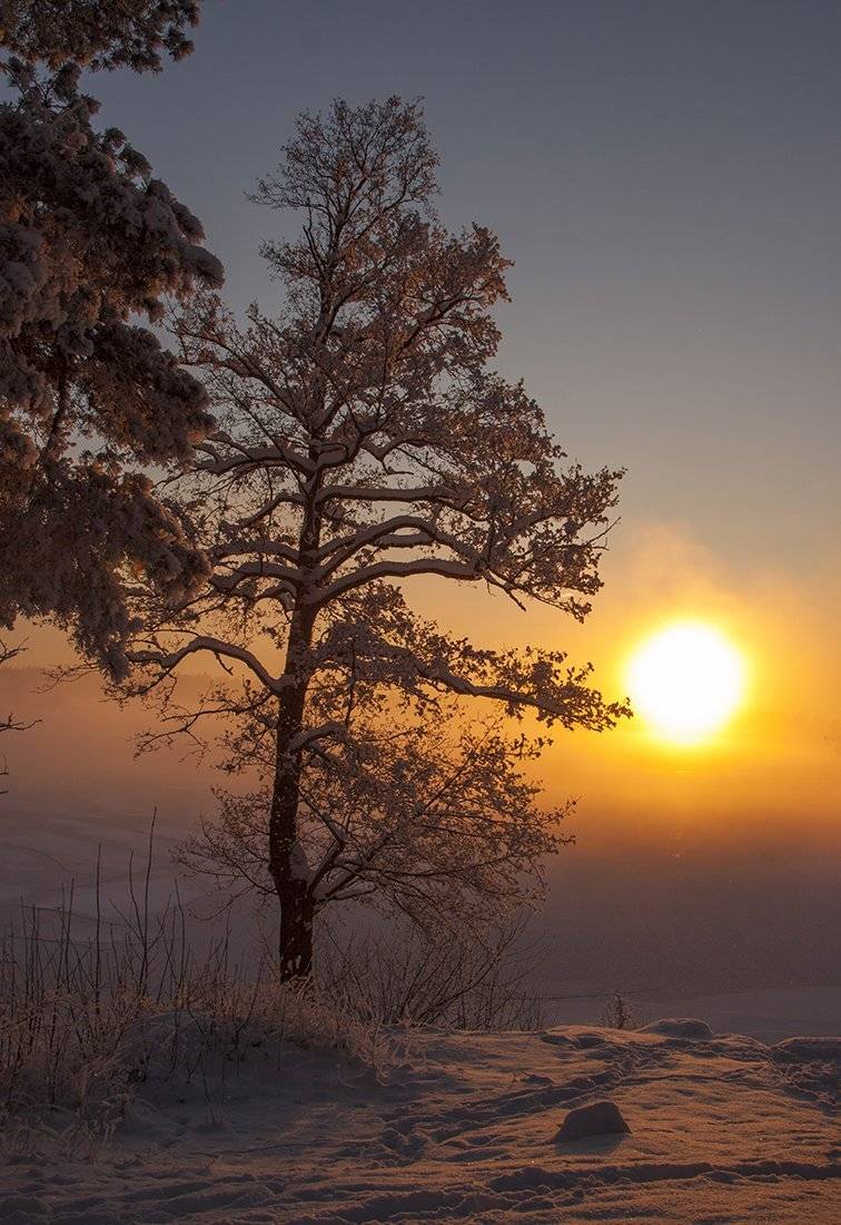 швеция, Lapland
