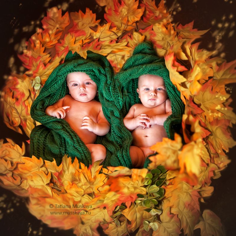 братья Twins фото превью