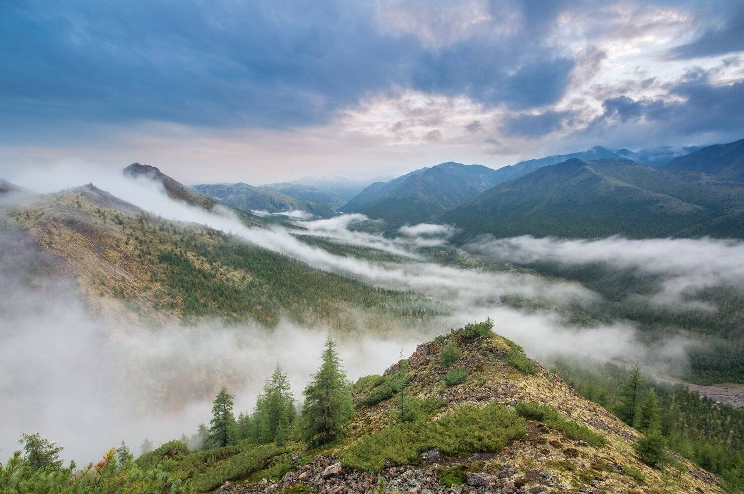 , Павел Глушков