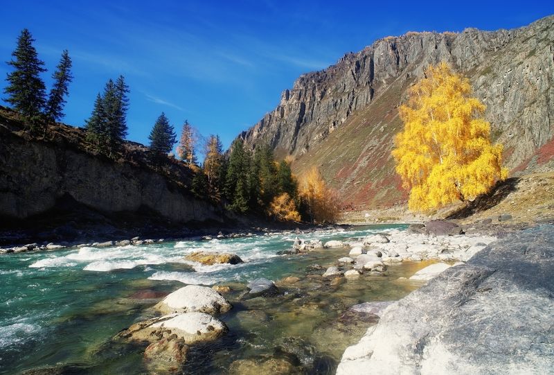 алтай, чуя осенняя Чуя / Алтай фото превью